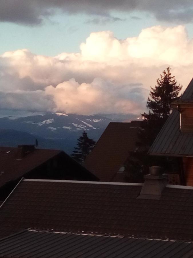 Superbe Appartement T2 3 Etoiles 40M2 Pied Des Pistes Vue Sur Le Lac Thollon-les-Memises 外观 照片