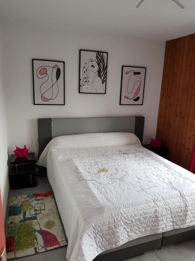 Superbe Appartement T2 3 Etoiles 40M2 Pied Des Pistes Vue Sur Le Lac Thollon-les-Memises 外观 照片