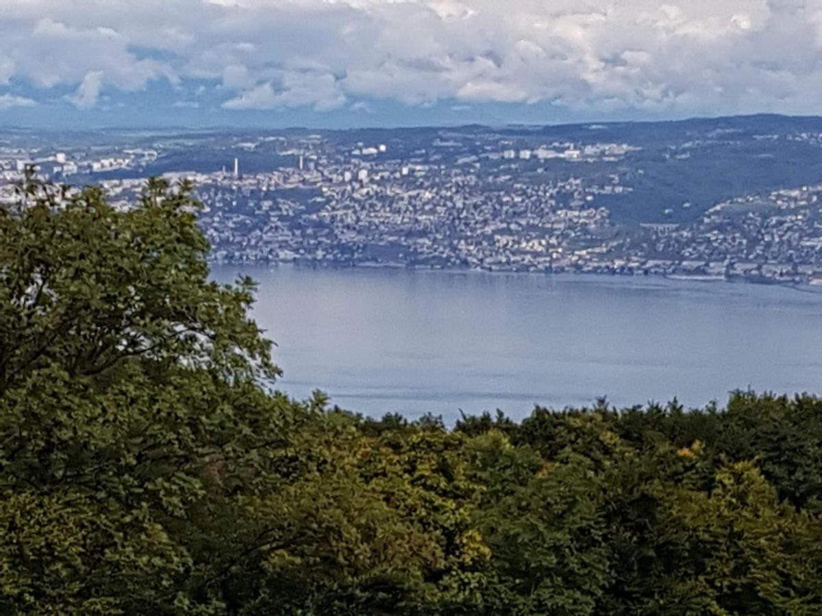 Superbe Appartement T2 3 Etoiles 40M2 Pied Des Pistes Vue Sur Le Lac Thollon-les-Memises 外观 照片